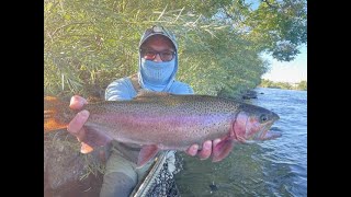 What Better Way to Celebrate Merica Than a Truckee River Trout Fishing Bonanza [upl. by Ddart]