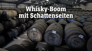 WhiskyBoom mit Schattenseiten  SPIEGEL TV für ARTE Re [upl. by Magee285]