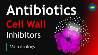 Antibiotics  Cell Wall Inhibitors  Microbiology  Basic Science Series [upl. by Rosaleen556]