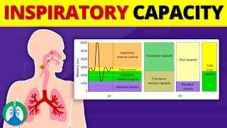 Inspiratory Capacity IC  Quick Explainer Video [upl. by Vivian47]