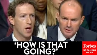 Applause Breaks Out When Mike Lee Zings Mark Zuckerberg During Senate Hearing With Social Media CEOs [upl. by Pavier]