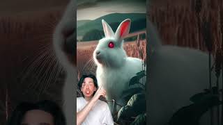 ❌NON SEGUIRE QUESTO CONIGLIO🐇 video completo su lG nicolografene [upl. by Mattox25]