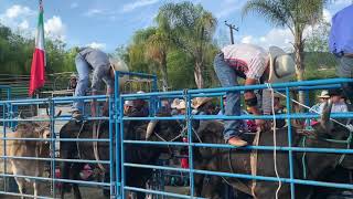 En cajones Rodeo Cañada 2019 [upl. by Kina606]