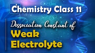 Dissociation Constant of Weak Electrolyte  Chemical Equilibrium  Chemistry Class 11 [upl. by Ziul679]