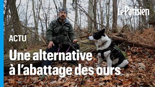 Le Japonais qui capturait des ours avec du miel pour les protéger [upl. by Amliv386]