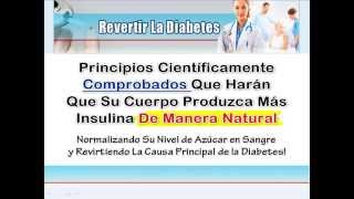 Como Eliminar La Diabetes En 30 Dias Sin Medicamentos  Tratamiento De Diabetes [upl. by Mukerji]