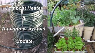 Aquaponic Compost Heater update water temps for Jade amp Silver perch AP Update July 2015 [upl. by Kalbli260]