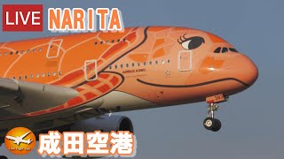 🔴LIVE at NARITA International Airport Plane Spotting 20231118 成田空港ライブカメラ 成田空港 NRTRJAA [upl. by Hctud275]