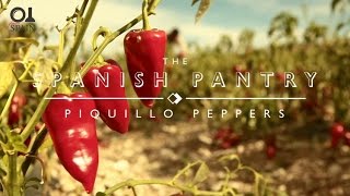 The Spanish Pantry Piquillo Peppers [upl. by Hime]