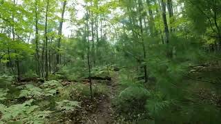 Beautiful Hike in Yawkey Forest Reserve explorethebeautyofnature [upl. by Jorey]