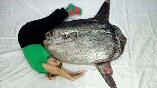 eng대왕 개복치 드디어 구했습니다… 손질해볼게요 Cutting Giant Sunfish [upl. by Gnagflow]