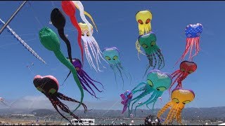 Berkeley Kite Festival 2017 [upl. by Eillil]