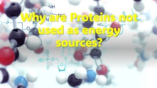 Why are Proteins not used as energy sources [upl. by Mcferren]