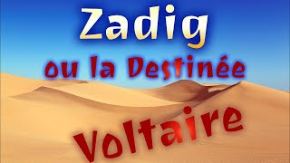 Zadig Voltaire  Chapitre 11  Le BuÌ‚cher [upl. by Sherill]