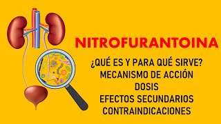 🔴 NITROFURANTOINA Tratamiento para infecciones urinarias  USOS EFECTOS SECUNDARIOS FARMACOLOGÍA [upl. by Burack]