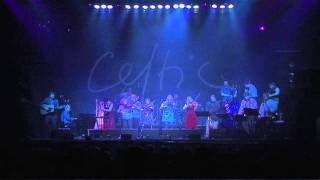 Unusual Suspects video  live at Celtic Connections 2011 [upl. by Nosa]