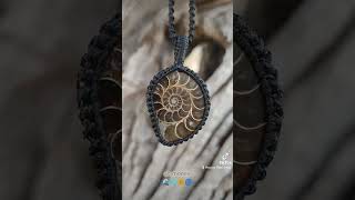 ammonite ammonites stoneflowvibes [upl. by Nawyt]