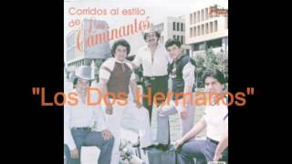 Los CaminantesCorridos Al Estilo De Los Caminantes CD completo [upl. by Akenahc]