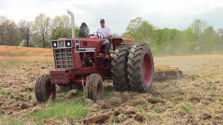 1976 International 1466 Black Stripe Tractor [upl. by Joelle]