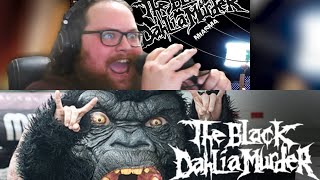 Statutory Ape  Vocal Cover  The Black Dahlia Murder [upl. by Allemap]