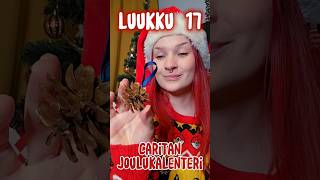 LUUKKU 17 Käpykoriste joulukuuseen 🎄 DIY [upl. by Nolyarg819]