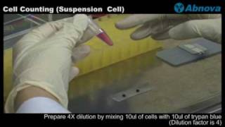 Cell Counting Suspension Cell [upl. by Lerner]