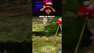 Getting AMBUSHED In Pikmin Randomizer pikmin randomizer livestream [upl. by Steck]