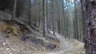 LLANDEGLA BLACK RUNS  The New Stuff [upl. by Margret]