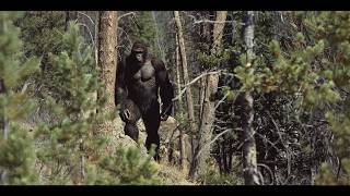 The Clearest Sasquatch Photo Ever  Hunter Gets UP CLOSE Shot Of GIANT BIGFOOT  bigfoot 2024 [upl. by Anilyx153]