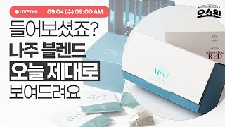 들어보셨죠 티즌 나주 블렌드 선물패키지 💕오쇼완라이브 ep89 [upl. by Allyce]