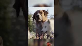 dog amazingfacts animals movie factsinhindi trending viralvideo shorts [upl. by Ecinnej]