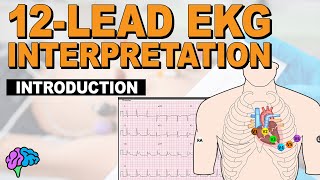 Introduction to Concepts of 12Lead EKG Interpretation [upl. by Hilliary623]