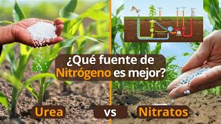 🌽 ¿Cuál es el Mejor  Urea vs Nitratos  Ciclo Del Nitrógeno  Rentabilidad del Campo [upl. by Arinayed]