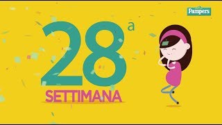 28° settimana di gravidanza [upl. by Alla]