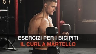 Il curl a martello hammer con manubri per i bicipiti [upl. by Nalek]