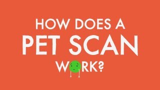 How does a PET scan work [upl. by Akinehs]