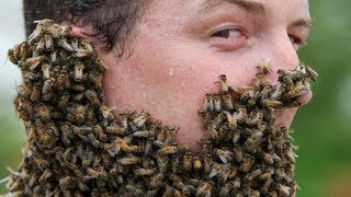 20 People Covered in Bees [upl. by Alcine]