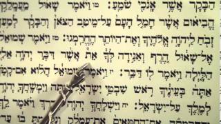 Haftorah Haftarah Reading for Parsha Zachor Amalek before Purim הפטרת זכור קריאה לפני פורים [upl. by Lehacim]