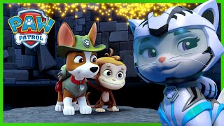 Cat Pack Rory Saves Leo and Tracker  PAW Patrol Rescue Episode  Cartoons for Kids [upl. by Drarrej]