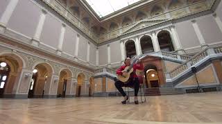 J S BachPreludium Fugue and Allegro BWV 998 Hedvika Švendová in foyer of Rudolfinum Prague 2014 [upl. by Llehsem234]