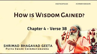 Bhagavad Gita  How is Wisdom Gained Chapter 4 Verse 38  GeetaCapsules Bhagavadgita [upl. by Annavoig]