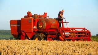 Classic Combine Week 6 Massey Ferguson 510 [upl. by Oremoh]