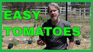 How to Plant Great Tomatoes Seed to Garden [upl. by Iaht]