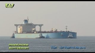 Maasgeul Rotterdam Maersk Sonia Crude oil tanker [upl. by Ahselat]