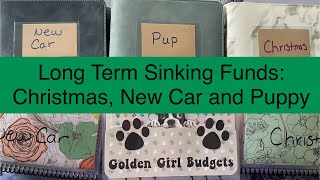 Long Term Sinking Funds l Cash Stuffing l New Car l Christmas l Puppies l March 2024 [upl. by Vallery]