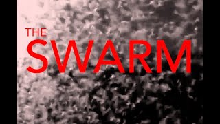 The Swarm Analog Horror [upl. by Scarrow]