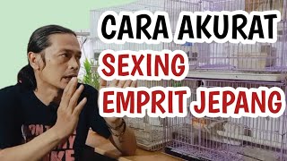 TIPS  Cara paling Akurat Menentukan Emprit Jepang Jantan amp Betina [upl. by Arlinda168]