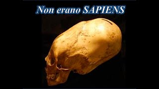 Non erano SAPIENS 📚 Nuovo Seminario Parma 28 Gennaio Torino 4 Febbraio Senigallia 19 Marzo 👇 [upl. by Ennovaj121]