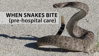 When Snakes Bite PreHospital Care [upl. by Assilev]