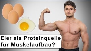 Eier die beste Proteinquelle für den Muskelaufbau [upl. by Lovering]